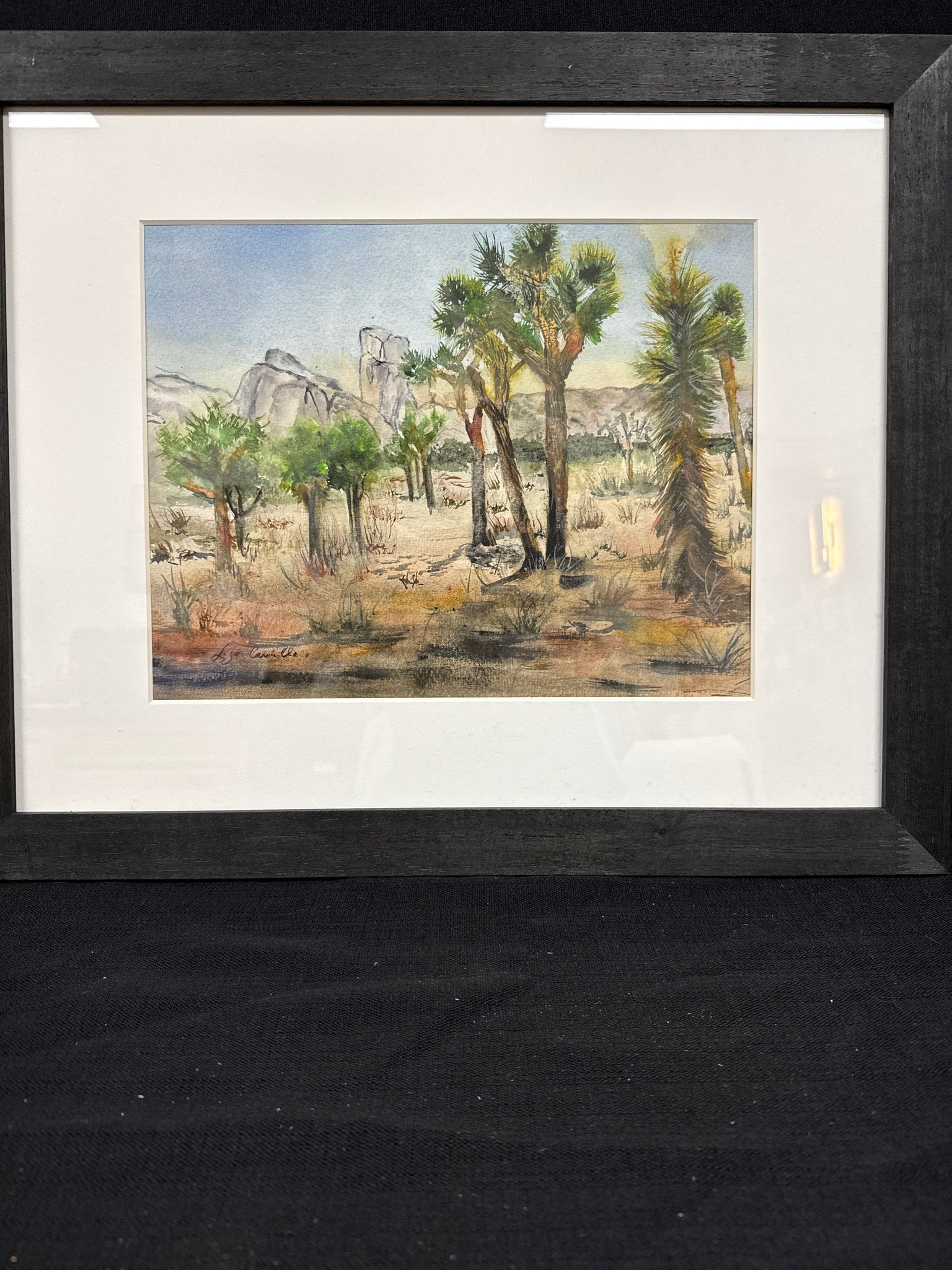 Open Arms In the Dessert